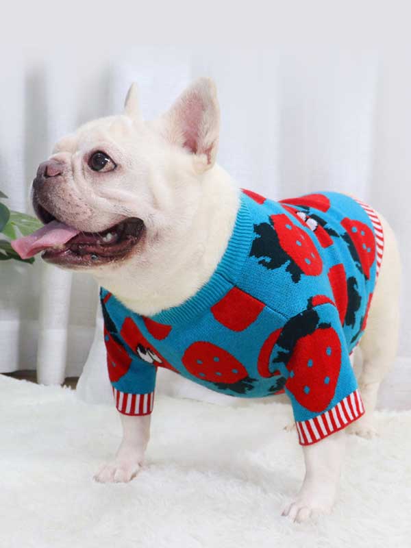 New autumn and winter dog clothes bulldog sweater strawberry cartoon short body fat dog method fighting autumn sweater 107-222041 www.gmtshop.com