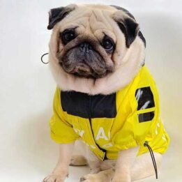 Dog Coat 5XL Puppy Yellow Clothes Pet Windbreaker Accessories Dog Raincoat for Large Dogs 06-1336