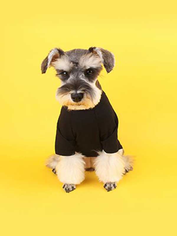 Cotton Thin Fashion Brand Famous Pet dog Clothes 06-1315
