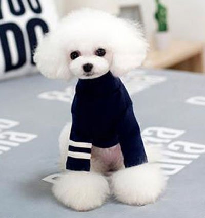 Wholesale Dog Clothes: Fashionable Cotton Dog Clothes Pet Accessoriess 06-0248 Dog Clothes: Shirts, Sweaters & Jackets Apparel cat and dog clothes