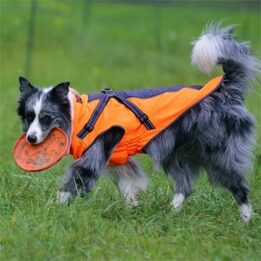 Windproof Dog Coats 06-0982