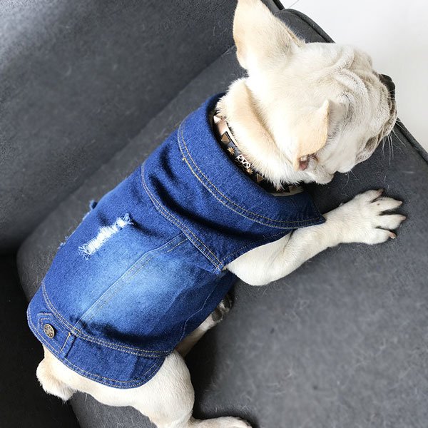 Pet Cowboy Skirt Amazon Hot Dog Clothes Dog Denim Skirt 06-0206