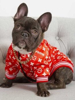 Designer Pupreme Jacket Winter Fashion Dog Clothes