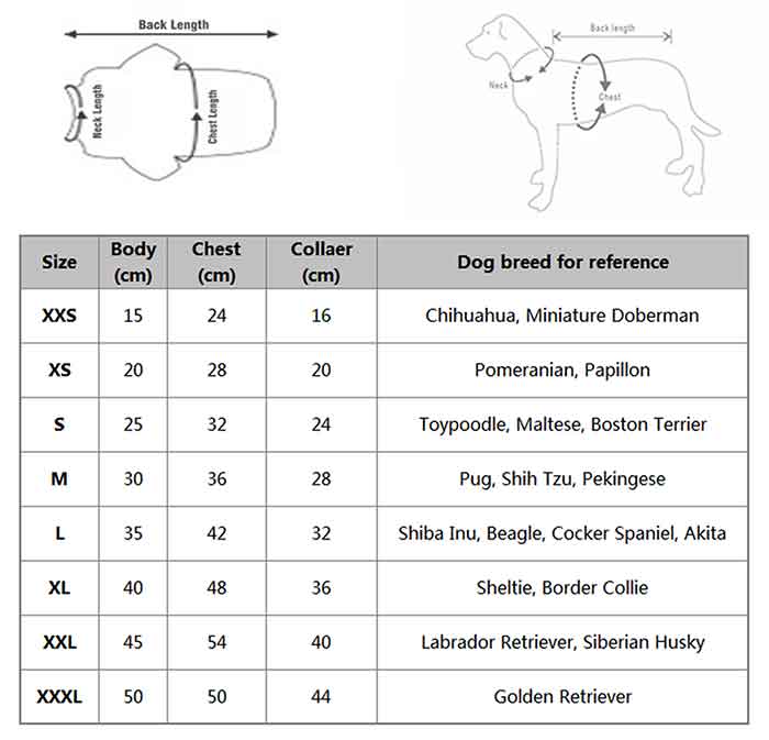 How To Measure Your Dog