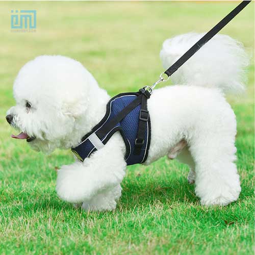 factory wholesale harness dog 06-1478