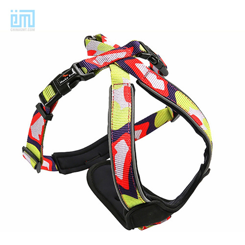 Custom dog harness | Pet factory custom | GMTPE T06-1479