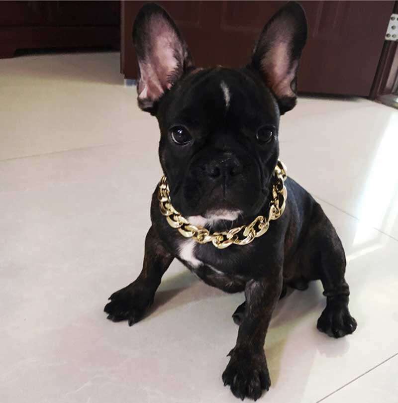 Factory Wholesale Dog Necklace Collars Gold Chain