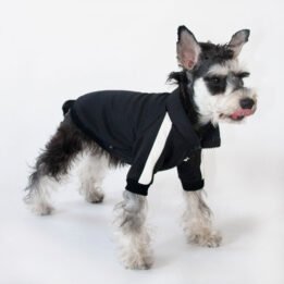 Sport Pet Clothes Custom Fashion Dog BomberJacket Blank Dog Clothes www.gmtshop.com