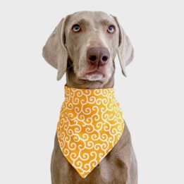 2020 New Custom Summer Triangle Bandana Personalized Pet Accessories Cat Dog Triangle Scarf Pet products factory wholesaler, OEM Manufacturer & Supplier www.gmtshop.com