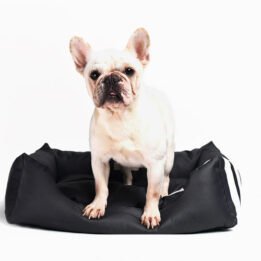 Factory Supply Wholesale Luxury Pet Bed Soft Square Elegant Noble Series Dog Bed www.gmtshop.com