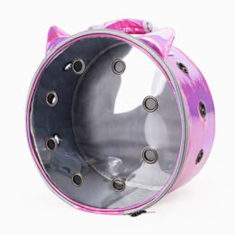 Pet Travel Bag for Cat Cage Carrier Breathable Transparent Window Box Capsule Dog Travel Backpack www.gmtshop.com