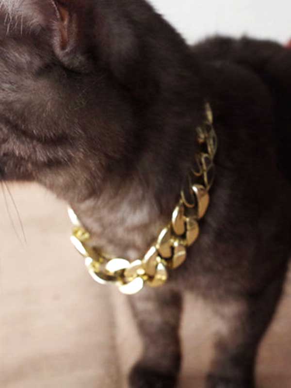 Dog Necklace Collars Gold Chain-06-0253
