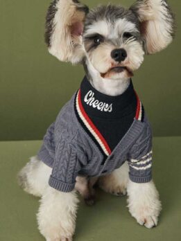 Roupas de cachorro de grife OEM