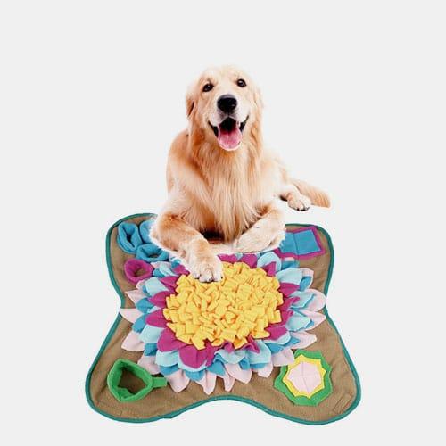 Newest Design Puzzle Relieve Stress Slow Food Smell Training Blanket Nose Pad Silicone Pet Feeding Mat 06-1271 www.gmtshop.com