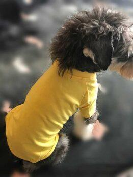 Dog Vest Spring and Summer Multicolor Dog T-shirt 06-1611