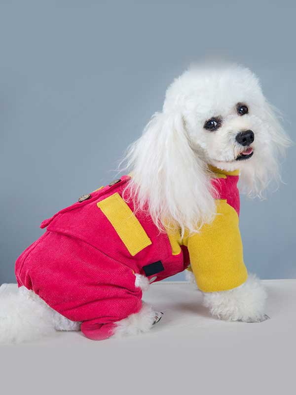 Korean-Dog-Costume-Pet-Clothing-Four-leg-Pants-Luxury-Dog-Clothes-06-1598-06-1598