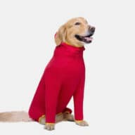 OEM Dog Clothes Large Medium For Dog Clothes Anti-hair Dust-proof Four-legged Garment 06-1009 Dog Clothes: Shirts, Sweaters & Jackets Apparel 06-1009