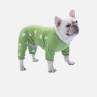 2021 New Arrivals Dog Clothes Pet Designer Clothes Autumn Four-legged Clothes Cotton Thickening 06-1615 Dog Clothes: Shirts, Sweaters & Jackets Apparel 06-1615