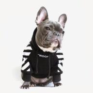 Luxury Pet Clothes Warm Hoodie Custom Fashion Winter Designers Dog Clothes Dog Clothes: Shirts, Sweaters & Jackets Apparel Custom Fashion Winter Designers Dog Clothes