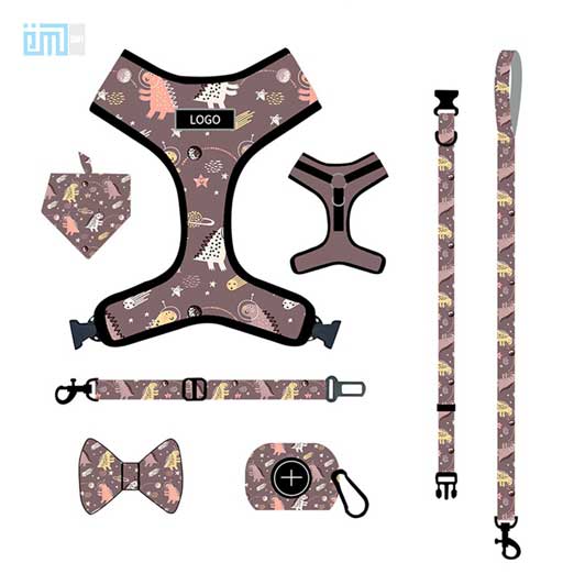 Pet harness factory new dog leash vest-style printed dog harness set small and medium-sized dog leash 109-0010 www.gmtshop.com