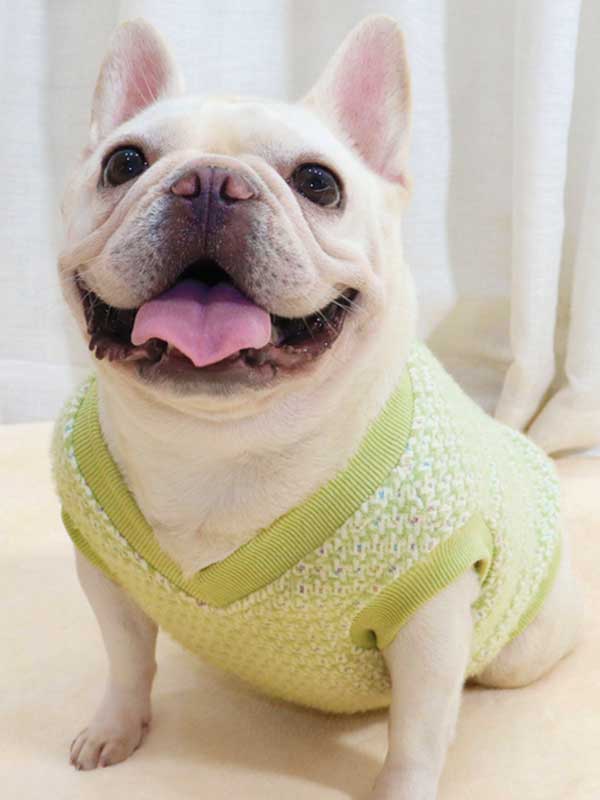 GMTPET Thickened autumn and winter fat dog short body bulldog pug dog lady plush rich rich French fighting clothes v-neck vest vest 107-222012 www.gmtshop.com
