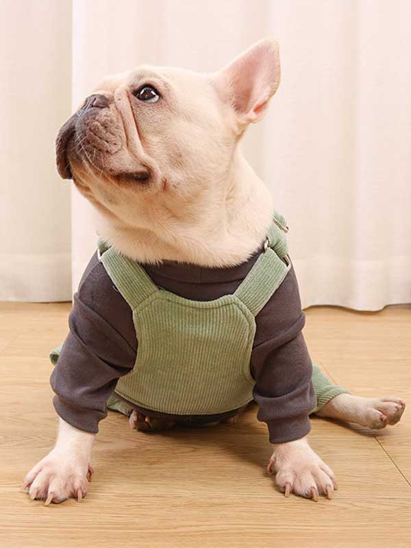 GMTPET French fighting clothes high elastic comfortable solid color plus velvet thick bottoming shirt T-shirt bulldog dog clothes 107-222016 www.gmtshop.com