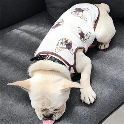 Bulldog Printing T-Shirt: Matching Dog and Human 06-0496 Dog Clothes: Shirts, Sweaters & Jackets Apparel cat and dog clothes
