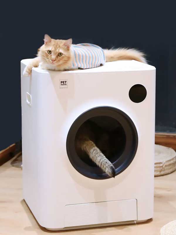 Automatic Cat Litter Box - Enclosed Big Auto Cat Litter Box
