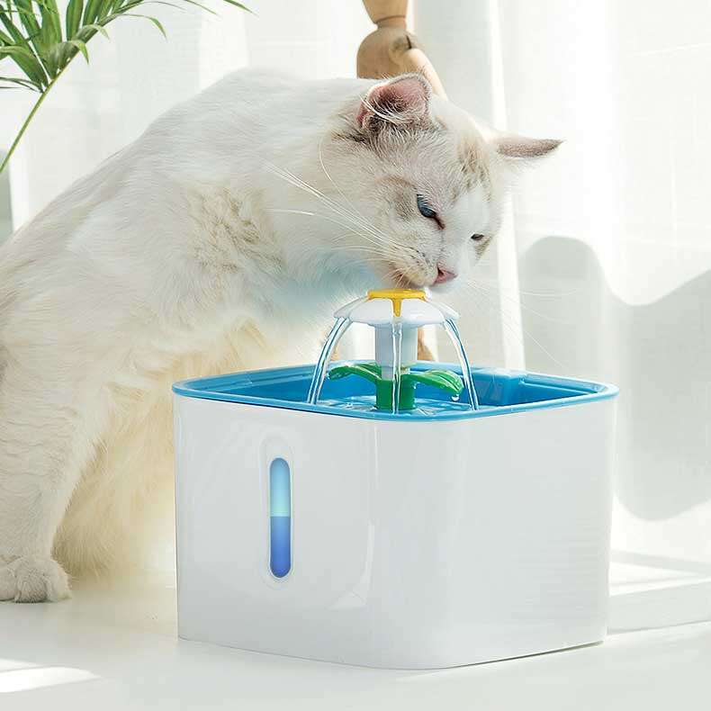 pet water feeder