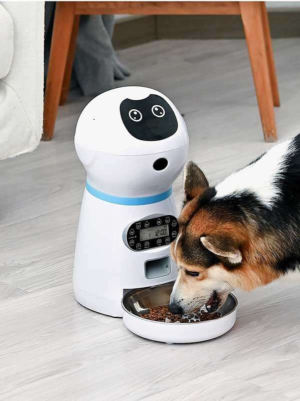 Wholesale Pet Automatic Feeder Pet Feeder Pet Smart Feeder Stainless steel food plate 131-23504 Pet Products Factory, OEM Manufacturer, Supplier, Agent www.gmtshop.com Wholeasle Amazon food feeder double meal feeder pet smart feeder