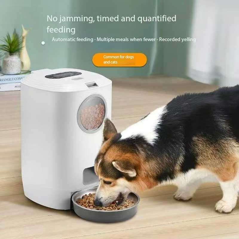 Wholeasle Amazon food feeder double meal feeder pet smart feeder
