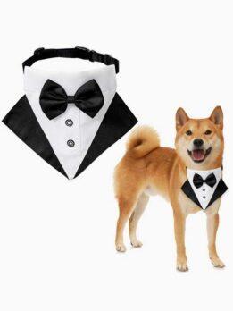 Wedding suit pet drool towel dog collar pet triangle towel pet bow tie wedding suit triangle towel 118-37007 www.gmtshop.com