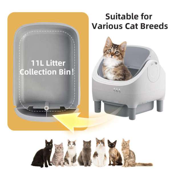 Smart Cat litter box, Cat Litter Box, Cat Litter Box & Accessories, Cat Litter Box And Accessories