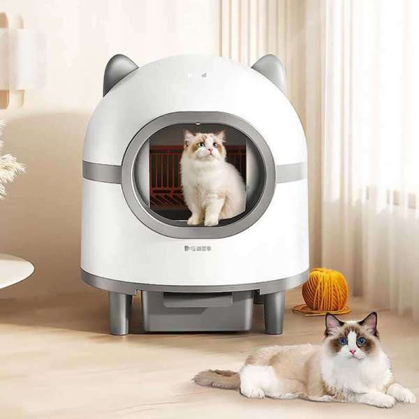 Smart Cat litter box, Cat Litter Box, Cat Litter Box & Accessories, Cat Litter Box And Accessories