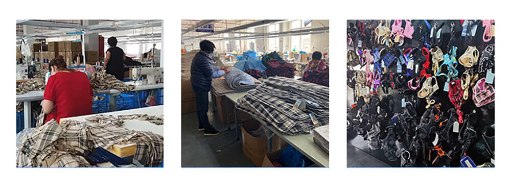 Eco-friendly Pet Swimwear Supplier