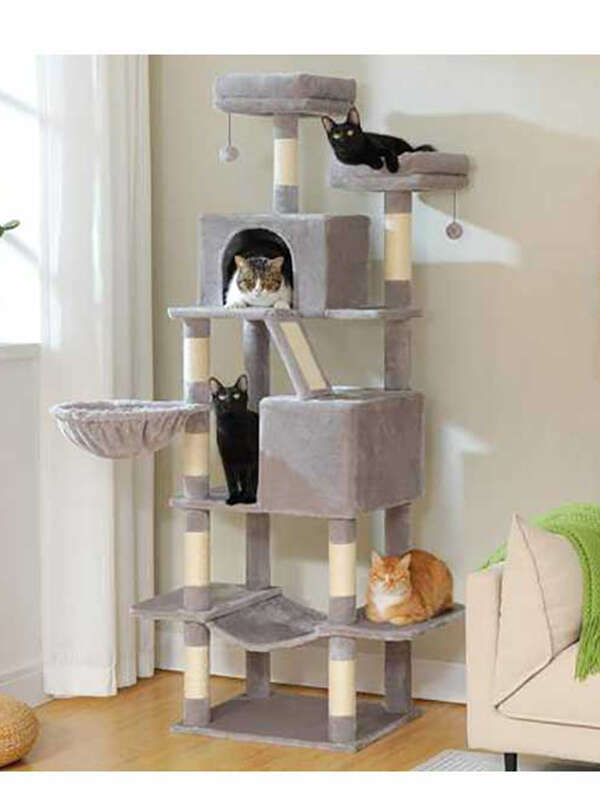 70.8-Inch Light Gray Cat Tree Easy-to-assemble Indoor Cat Tower Multi-Level Perches Hammock Sisal Scratching Posts for Cats 105-62110 Pet Products Factory, OEM Manufacturer, Supplier, Agent www.gmtshop.com cat trees scratcher, bog cat tree, cat tower tree dropshipping, mushroom cat tree, purple cat tree, cat trees and scratching post, cat tree house, cat climbing tree house tower, minimalistic cat tree, cheese cat trees, cat tree tower large, cat christmas tree, cat-tree-dropshipping, cat tree for indoor cats, cat tree custom, wall-mounted cat tree, cat tree real wood, tree for big cats, wholesale cat trees, cat tree dropshipping, high quality cat tree, plastic cat tree, tree for cats 140cm, cat tree forest, custom cat tree tall, rope for cat tree, fabric for cat tree, rattan cat tree, luxury cat tree massive, simple cat tree, cat tree modern, cat tree cute, mau cat tree, cat tree wall, cat tree castle, large cat tree tower, high cat tree, 54 cat tree, cherry blossoms cat tree, cat tree 1 pieces, magic forest cat tree, cat tree house free shipping, modern wooden luxury cat tower tree, wooden cat furniture tree cat, basket cat tree, indoor stimulation tree for cats, luxury pet wooden cat tree, cute cat tree, cat tree with leaves, bookcase cat tree, real wood cat tree, pink cat tree, cat wooden tree, small cat trees, palm cat tree, luxury cat tree house, large cat tree house, cactus cat tree, lidl cat trees, cat tree parts, cat tree xl, cat wood tree, tree cat scratcher, flower cat tree, cat tree,