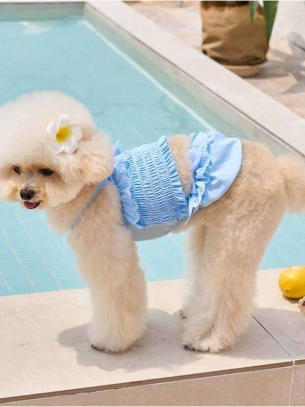 Pet Swimsuit Cat One-Piece Halter Bikini Dog Vest Swimsuit