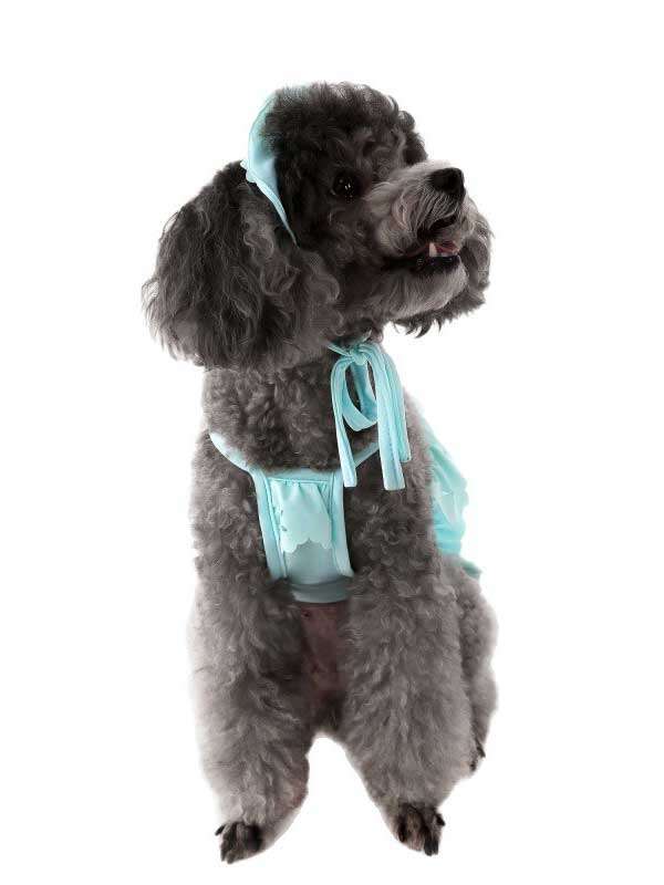 Pet Swimsuit Cat One-Piece Halter Bikini Dog Vest Swimsuit