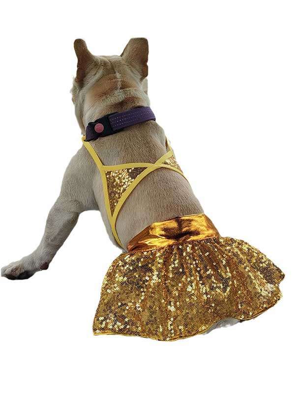 107-61601-Custom-OEM-Pet-Dog-Swimwear-Pet-Manufacturer-Factory